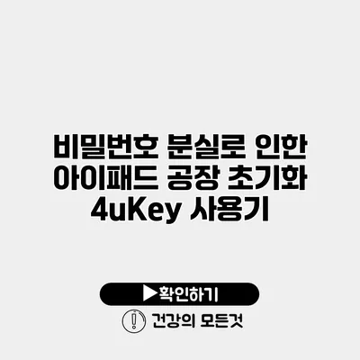 비밀번호 분실로 인한 아이패드 공장 초기화 4uKey 사용기