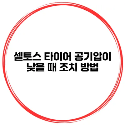 셀토스 타이어 공기압이 낮을 때 조치 방법