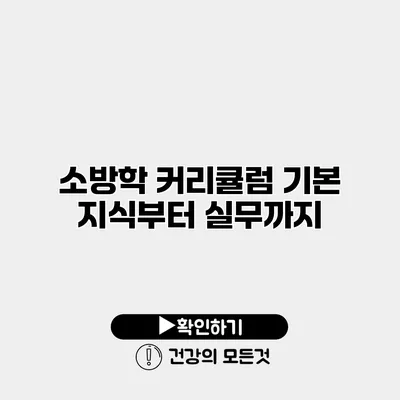소방학 커리큘럼 기본 지식부터 실무까지