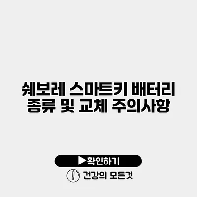 쉐보레 스마트키 배터리 종류 및 교체 주의사항
