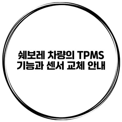 쉐보레 차량의 TPMS 기능과 센서 교체 안내