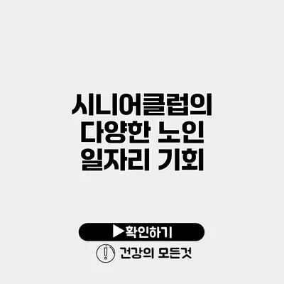 시니어클럽의 다양한 노인 일자리 기회