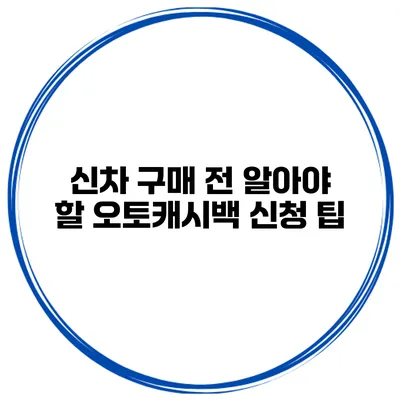 신차 구매 전 알아야 할 오토캐시백 신청 팁