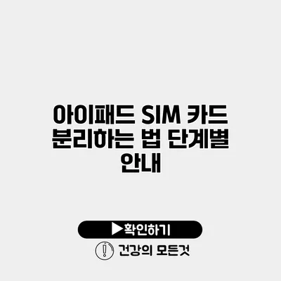 아이패드 SIM 카드 분리하는 법 단계별 안내