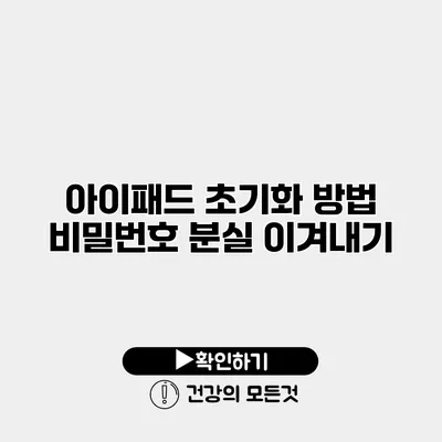 아이패드 초기화 방법 비밀번호 분실 이겨내기