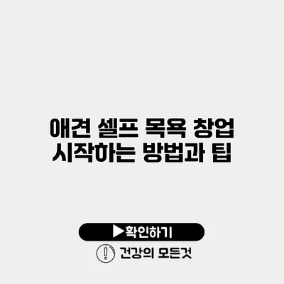 애견 셀프 목욕 창업 시작하는 방법과 팁