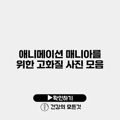 애니메이션 매니아를 위한 고화질 사진 모음