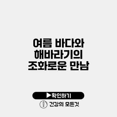 여름 바다와 해바라기의 조화로운 만남