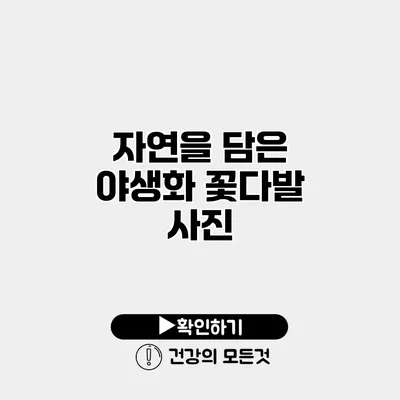 자연을 담은 야생화 꽃다발 사진