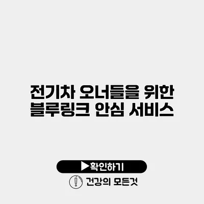 전기차 오너들을 위한 블루링크 안심 서비스