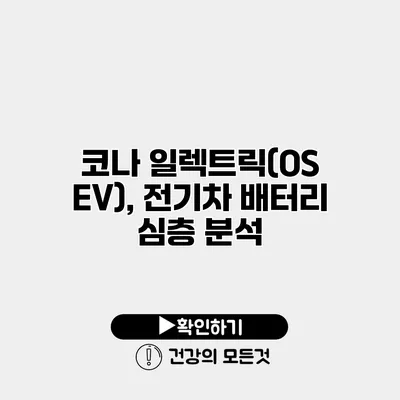 코나 일렉트릭(OS EV), 전기차 배터리 심층 분석