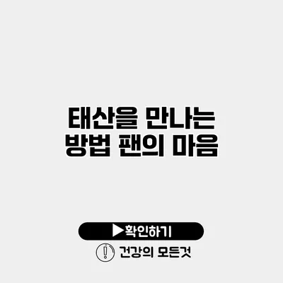 태산을 만나는 방법 팬의 마음
