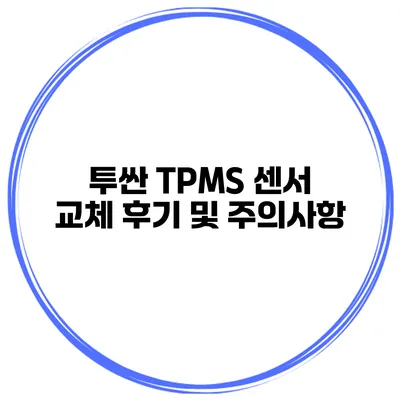 투싼 TPMS 센서 교체 후기 및 주의사항