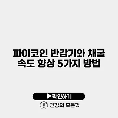 파이코인 반감기와 채굴 속도 향상 5가지 방법
