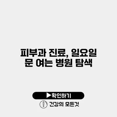 피부과 진료, 일요일 문 여는 병원 탐색